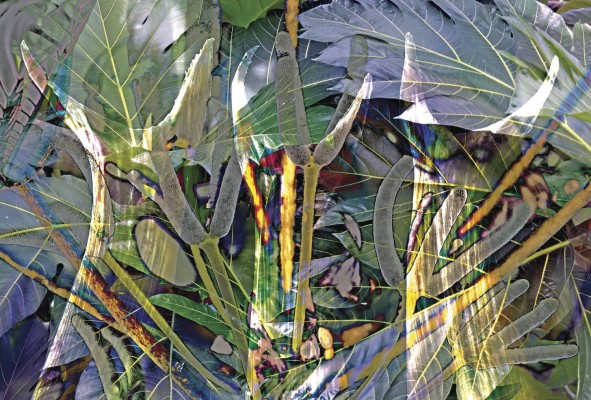 Obra: 'Diáspora', Rafael Martín. Montaje 2021 Obra: 'Diáspora', Rafael Martín. Montaje 2021