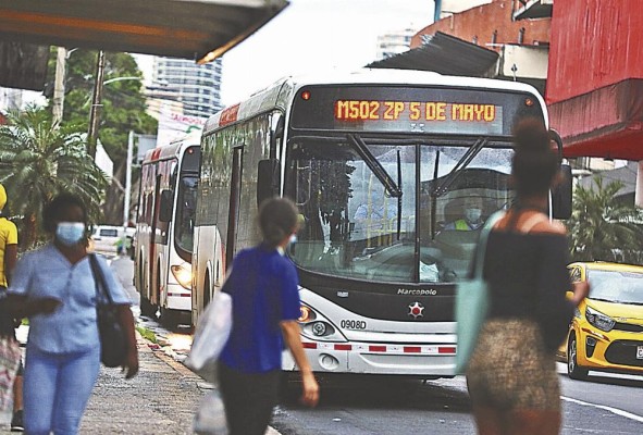 Los modelos Gran Viale de la flota de Tmpsa tienen 13 años de estar al servicio de la población. Los modelos Gran Viale de la flota de Tmpsa tienen 13 años de estar al servicio de la población.