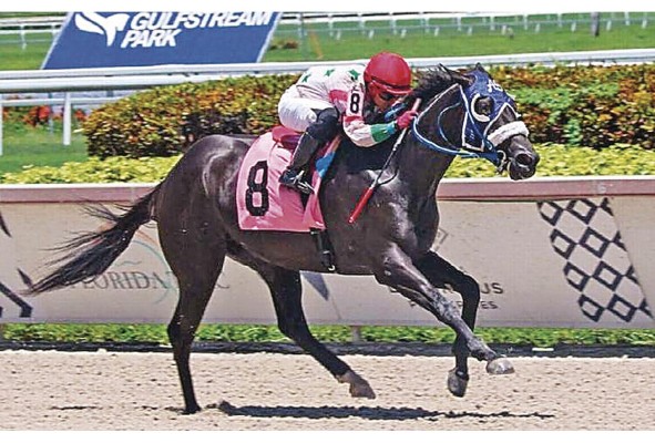 Joseph Trejos debutó el 19 de marzo de 2020 en Gulfstream Park. Joseph Trejos debutó el 19 de marzo de 2020 en Gulfstream Park.