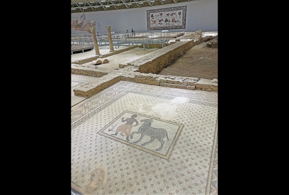 Museo de los Mosaicos Museo de los Mosaicos