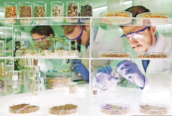 Ciencia moderna y mercantilización de la naturaleza Ciencia moderna y mercantilización de la naturaleza