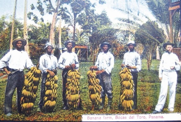 Bananas Farm, Postal coloreada. I. L Maduro Jr. Bananas Farm, Postal coloreada. I. L Maduro Jr.