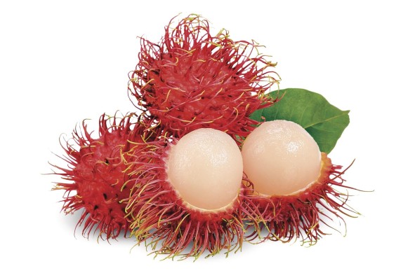 Rambután 'Nephelium lappaceum' Rambután 'Nephelium lappaceum'
