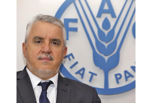 FAO: 'Habrá dos años de incertidumbre y elevación de precios y alimentos' FAO: 'Habrá dos años de incertidumbre y elevación de precios y alimentos'