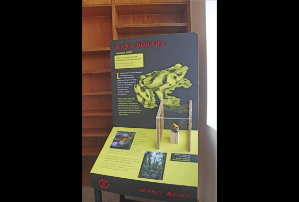 'Extinción', la nueva exhibición itinerante del Biomuseo 'Extinción', la nueva exhibición itinerante del Biomuseo