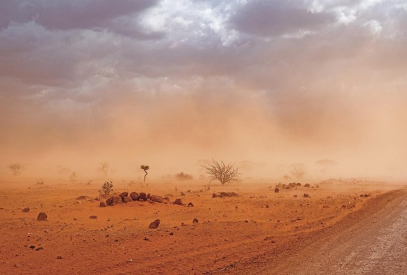 Este tipo de agricultura permite una mayor resiliencia reduciendo la vulnerabilidad a las sequías, las plagas, las enfermedades y otras perturbaciones. Este tipo de agricultura permite una mayor resiliencia reduciendo la vulnerabilidad a las sequías, las plagas, las enfermedades y otras perturbaciones.