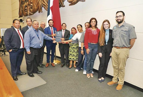 El proyecto de ley fue propuesto por el diputado Gabriel Silva con apoyo de organizaciones que defienden la conservación de tortugas marinas. El proyecto de ley fue propuesto por el diputado Gabriel Silva con apoyo de organizaciones que defienden la conservación de tortugas marinas.