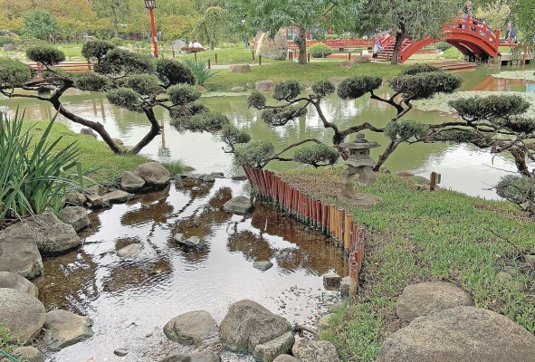 El jardín argentino tiene el honor de estar en la lista de los más grandes fuera de Japón. El jardín argentino tiene el honor de estar en la lista de los más grandes fuera de Japón.