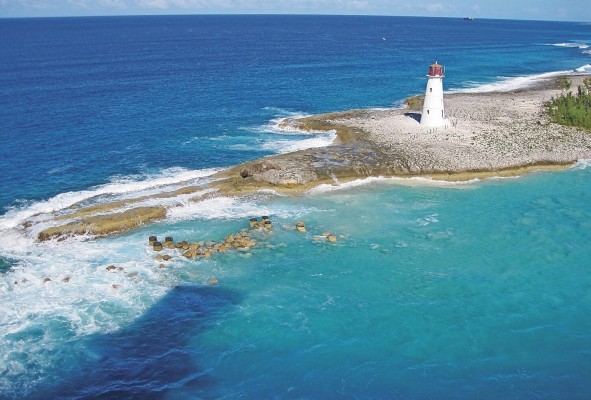 Algo muy característico de Las Bahamas son los cerditos nadadores. Algo muy característico de Las Bahamas son los cerditos nadadores.