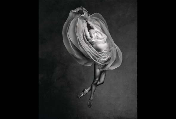Gustavo Barrios - Bloom / fotografía - Impresión giclée a base de pigmentos libre de ácidos Gustavo Barrios - Bloom / fotografía - Impresión giclée a base de pigmentos libre de ácidos