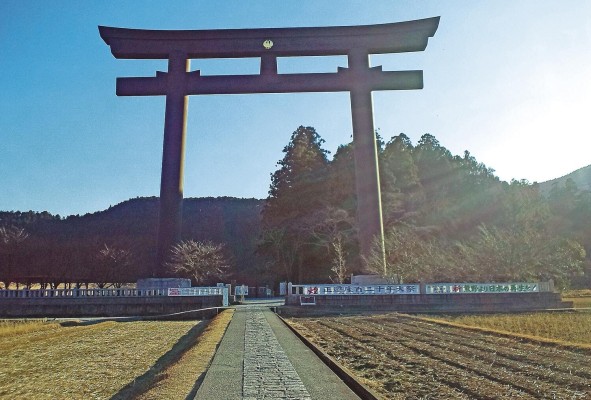 Torii del Okyunohara Torii del Okyunohara