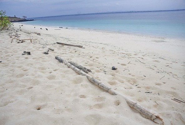 Hace poco se informó que hay un total de 774,24 km2 de arrecifes (754 km2 en el Caribe) y 170,000 hectáreas de manglares (164,780 ha en el Pacífico). Hace poco se informó que hay un total de 774,24 km2 de arrecifes (754 km2 en el Caribe) y 170,000 hectáreas de manglares (164,780 ha en el Pacífico).