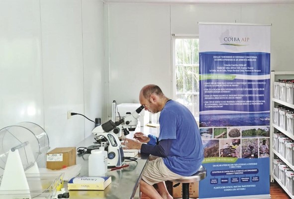 Ernesto Brugnoli, uno de los científicos de Coiba AIP, realiza su trabajo en el laboratorio del Parque Nacional Coiba Ernesto Brugnoli, uno de los científicos de Coiba AIP, realiza su trabajo en el laboratorio del Parque Nacional Coiba