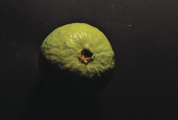 Dulce de guayaba delicada Dulce de guayaba delicada