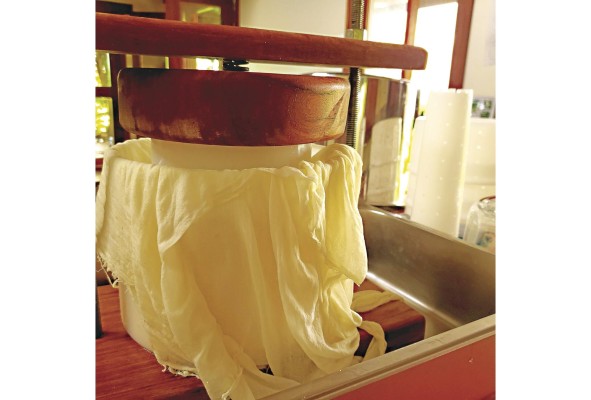 Queso en el proceso de prensado Queso en el proceso de prensado