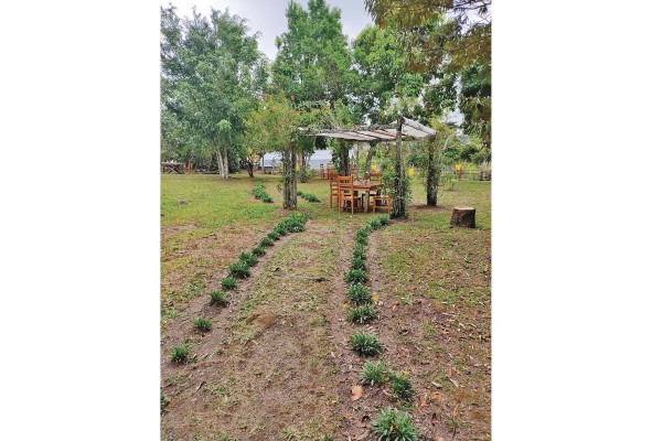 Cerro Brujo Gourmet y su concepto de mesas al aire libre. Cerro Brujo Gourmet y su concepto de mesas al aire libre.