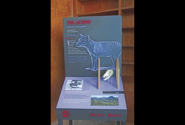 'Extinción', la nueva exhibición itinerante del Biomuseo 'Extinción', la nueva exhibición itinerante del Biomuseo