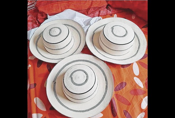 El sombrero Pintao se elabora con la bellota, chonta y pita propias del clima tropical húmedo de Panamá El sombrero Pintao se elabora con la bellota, chonta y pita propias del clima tropical húmedo de Panamá