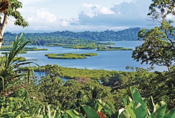 Entre 1960 y 2016 Panamá perdió el 68% de la cobertura de manglar. Entre 1960 y 2016 Panamá perdió el 68% de la cobertura de manglar.