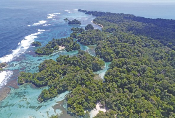 Los bosques, manglares y las playas de la isla Escudo de Veraguas son el hábitat de especies endémicas. Los bosques, manglares y las playas de la isla Escudo de Veraguas son el hábitat de especies endémicas.