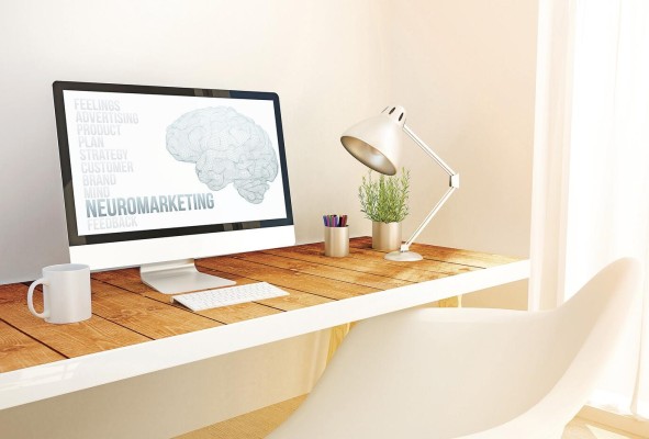 El neuromarketing permite comprender cómo el consumidor responderá ante un estímulo determinado. El neuromarketing permite comprender cómo el consumidor responderá ante un estímulo determinado.