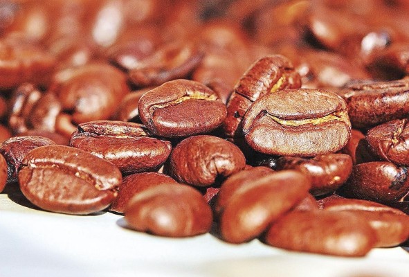 El catuaí es una variedad de café arábica. El catuaí es una variedad de café arábica.