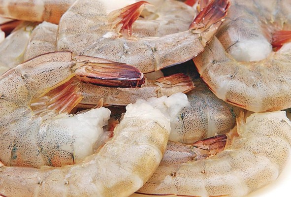 El rubro de camarones congelados formó parte de los productos que lideraron las exportaciones panameñas. El rubro de camarones congelados formó parte de los productos que lideraron las exportaciones panameñas.