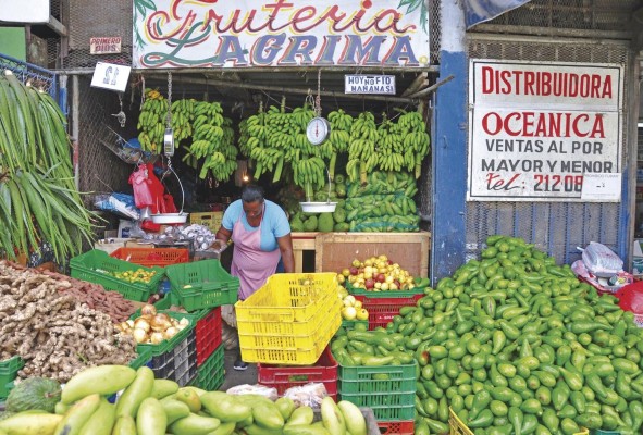 Dentro de las recomendaciones de la FAO figura la mejora de políticas estatales para la accesibilidad alimentaria. Dentro de las recomendaciones de la FAO figura la mejora de políticas estatales para la accesibilidad alimentaria.