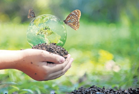 La biodiversidad genética se refiere a la variación de genes y genotipos entre las especies y dentro de ellas. La biodiversidad genética se refiere a la variación de genes y genotipos entre las especies y dentro de ellas.