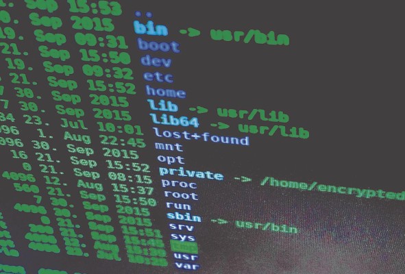 Incidentes de fraude aumentaron un 47% en 2019, según encuesta Incidentes de fraude aumentaron un 47% en 2019, según encuesta
