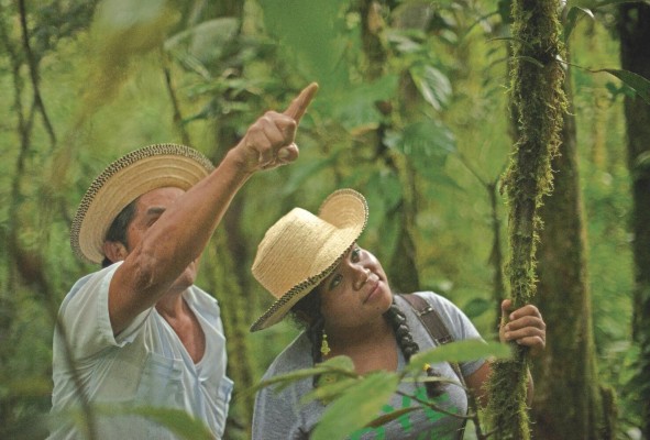 Los guías turísticos, también conocidos como guías locales, se encargan de brindar hospitalidad e información adecuada al visitante. Los guías turísticos, también conocidos como guías locales, se encargan de brindar hospitalidad e información adecuada al visitante.