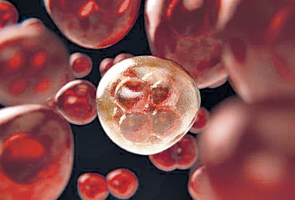 Este herramienta podrá determinar el mejor tratamiento según la evolución de cada paciente. Este herramienta podrá determinar el mejor tratamiento según la evolución de cada paciente.