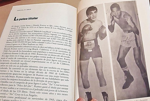 El libro tiene 150 páginas divididas en dos capítulos. El libro tiene 150 páginas divididas en dos capítulos.