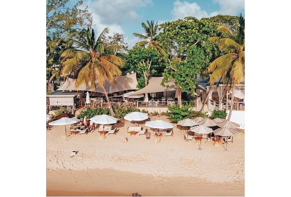 Sea Shed ofrece a sus visitantes un variado menú junto a las aguas turquesas del Caribe. Sea Shed ofrece a sus visitantes un variado menú junto a las aguas turquesas del Caribe.