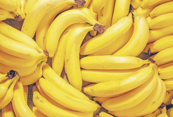El banano fue el segundo producto más exportado hasta el primer semestre de 2023. El banano fue el segundo producto más exportado hasta el primer semestre de 2023.