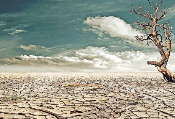 El cambio climático aumenta las probabilidades de que la sequía empeore en muchas partes del mundo en las próximas décadas. El cambio climático aumenta las probabilidades de que la sequía empeore en muchas partes del mundo en las próximas décadas.