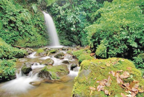 Parque Nacional Soberanía, destino turístico panameño. Parque Nacional Soberanía, destino turístico panameño.