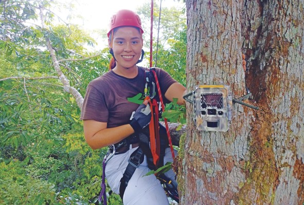 Carolina Mitre Ramos es estudiante tesista de biología con orientación en zoología de la Universidad de Panamá. Carolina Mitre Ramos es estudiante tesista de biología con orientación en zoología de la Universidad de Panamá.