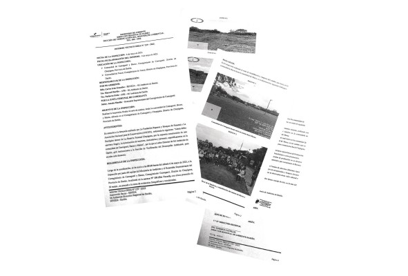 Informe Técnico DRDA N.°239-2023, de MiAmbiente Darién Informe Técnico DRDA N.°239-2023, de MiAmbiente Darién