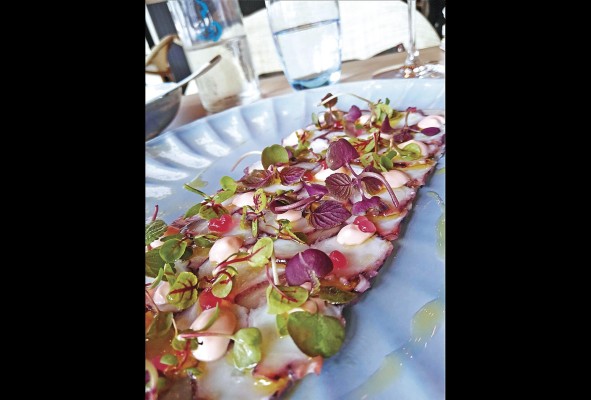 Carpaccio de pulpo Carpaccio de pulpo