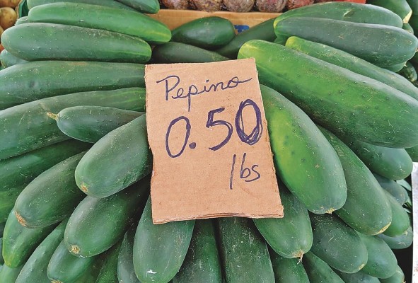 El inicio de lluvias mantiene precios módicos en otros productos. El inicio de lluvias mantiene precios módicos en otros productos.