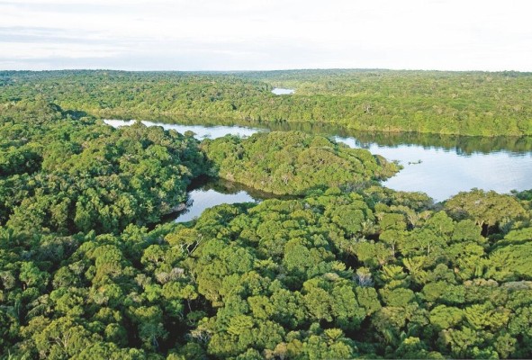 La Amazonia, una de las áreas más biodiversas de América Latina y el Caribe. La Amazonia, una de las áreas más biodiversas de América Latina y el Caribe.