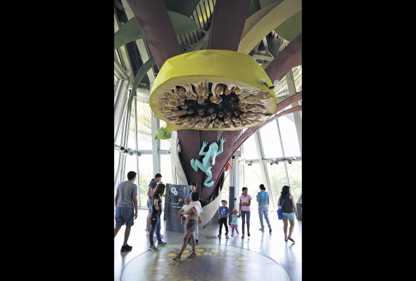 Exhibición del Biomuseo Exhibición del Biomuseo