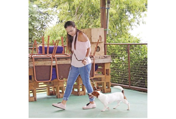 Las mascotas deben ser preparadas para la ausencia de la familia con juegos, adiestramiento saludable y recompensas. Las mascotas deben ser preparadas para la ausencia de la familia con juegos, adiestramiento saludable y recompensas.