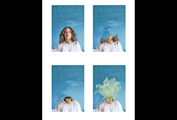 'Crece la planta'. 'Crece la planta'.