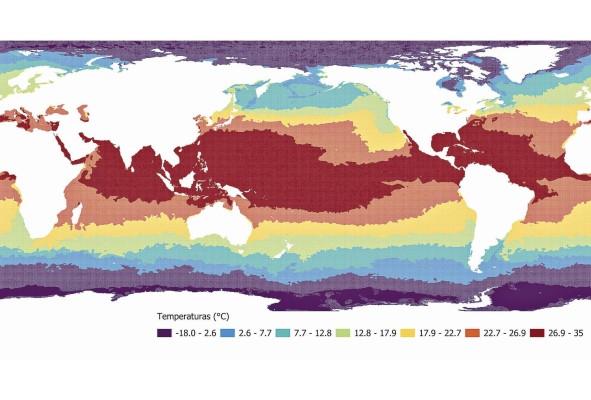 Esta imagen representa las temperaturas superficiales del océano en grados centígrados, que este mes de julio fueron las más altas registradas para esta época del año, probablemente durante los últimos 100.000 años. Esta imagen representa las temperaturas superficiales del océano en grados centígrados, que este mes de julio fueron las más altas registradas para esta época del año, probablemente durante los últimos 100.000 años.