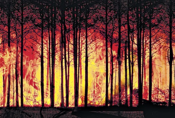 Las tasas de deforestación en la región fueron las más altas desde 2009, en un golpe tanto para el medio ambiente como para la mitigación del cambio climático. Las tasas de deforestación en la región fueron las más altas desde 2009, en un golpe tanto para el medio ambiente como para la mitigación del cambio climático.