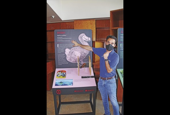 'Extinción', la nueva exhibición itinerante del Biomuseo 'Extinción', la nueva exhibición itinerante del Biomuseo