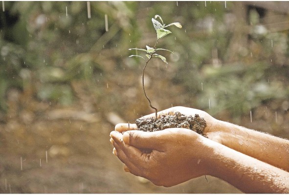 La degradación del suelo reduce intrínsecamente o elimina sus funciones. La degradación del suelo reduce intrínsecamente o elimina sus funciones.