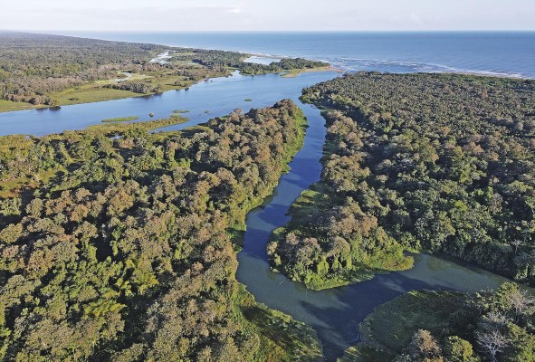 Vista aérea del humedal San San Pond Sak Vista aérea del humedal San San Pond Sak